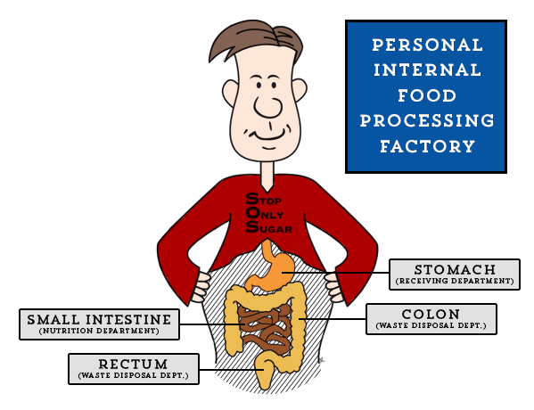 Digestion Simplified with the SOS No Sugar Diet Plan Low Sugar Stop Only Sugar